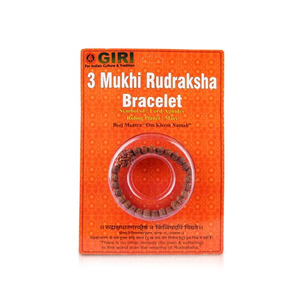 3 Mukhi Rudraksha Bracelet - Java | Three Face Rudraksh Hand Band for Men and Women Online