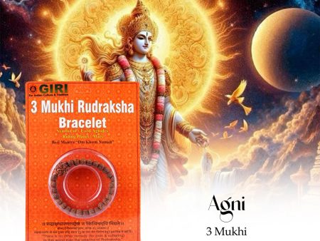 3 Mukhi Rudraksha Bracelet - Java | Three Face Rudraksh Hand Band for Men and Women Online