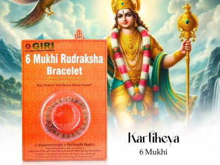 6 Mukhi Rudraksha Bracelet - Java | Rudraksha Hand Bracelet  Six Face Rudraksh Hand Band for Men & Women Discount