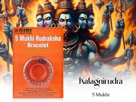 5 Mukhi Rudraksha Bracelet - Java | Rudraksha Hand Bracelet  Five Face Rudraksh Hand Band for Men & Women For Cheap