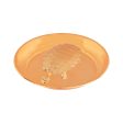 Plate with Tortoise - 0.75 x 3.5 Inches | Gold Polish Tray With Feng Shui Turtle for Good Luck  60 Gms Approx For Discount