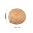 Dry Coconut - 100 Gms | 3.5 x 3.5 Inches  Kopparai Thengai  Nariyal Khopra for Pooja Online