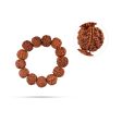 Rudraksha Bracelet - 2.5 Inches | Bracelet Rudraksh  Rudraksha Hand Band  Rudraksha Bracelet for Men & Women For Cheap