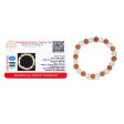 Rudraksha Sphatik Bracelet - 2.5 Inches | Rudraksha Hand Band  Sphatik Rudraksha Bracelet for Men & Women For Discount