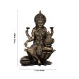 Lakshmi Idol - 7 x 5 Inches | Resin Statue  Brass Polish Lakshmi Murti for Pooja  600 Gms Approx Online Sale