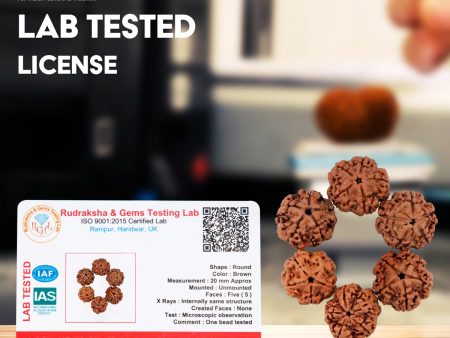 5 Mukhi Rudraksha Water Beads | 5 Face Rudraksha Beads  Five Mukhi Rudraksha for Men & Women Cheap