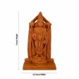 Balaji Murti - 9 x 4.5 Inches | Wooden Polish Balaji Statue  Balaji Idol for Pooja Discount