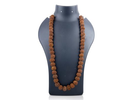 6 Mukhi Rudraksha Mala - 31 Inches | 108 Beads Six Mukhi Rudraksha Mala  6 Face Rudraksha Mala for Men & Women Online Hot Sale