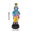 Vithoba Krishna Standing - 15 x 5.5 Inches | Giri Golu Doll  Clay Doll  Vithoba Murti  Navratri Bommai Fashion