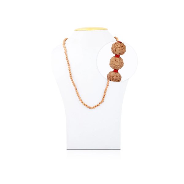 Rudraksha Mala - 7 to 8 mm | Ruthratcham Malai  Japa Mala for Meditation Online Hot Sale