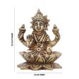 Laxmi Idol - 3.5 x 2 Inches | Antique Brass Idol  Lakshmi Idol for Pooja  420 Gms Approx Online now