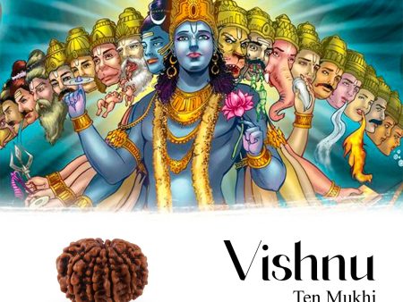 10 Mukhi Rudraksha Bead | Ten Face Rudraksha  Ten Mukhi Rudraksha for Men & Women Online