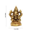 Ganesh Murti - 2 x 1.5 Inches | Ganapati Idol  Antique Brass Idol  Vinayagar Statue for Pooja  160 Gms Approx Fashion