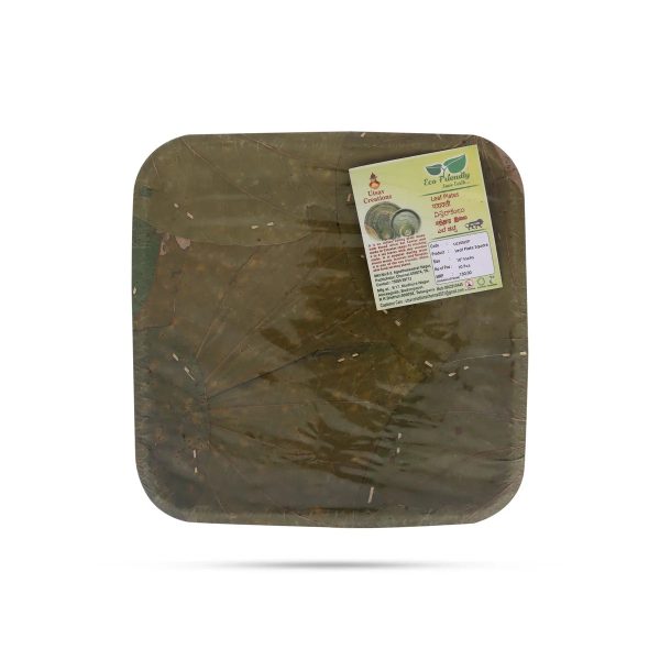 Leaf Plate - 10 Pcs Set - Square - 10x10 Inch Sale