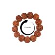 Rudraksha Bracelet - 2.5 Inches | Bracelet Rudraksh  Rudraksha Hand Band  Rudraksha Bracelet for Men & Women For Cheap