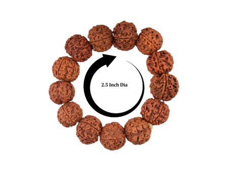 Rudraksha Bracelet - 2.5 Inches | Bracelet Rudraksh  Rudraksha Hand Band  Rudraksha Bracelet for Men & Women For Cheap