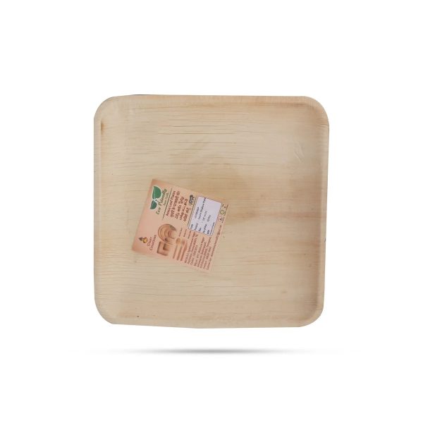 Areca Leaf Plate - 10 Pcs Set - Square Shallow - 9x9 Inch Online