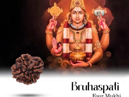 4 Face Rudraksha Bead - 22 mm | Nepali 4 Mukhi Rudraksha Bead for Men & Women Fashion